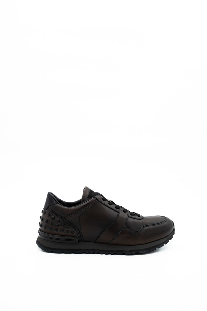 Tod's - Sneakers - Bruin